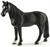 CASTRONE TENNESSEE WALKER