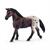 GIUMENTA APPALOOSA