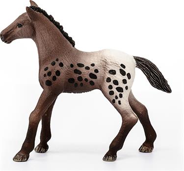 PULEDRO APPALOOSA