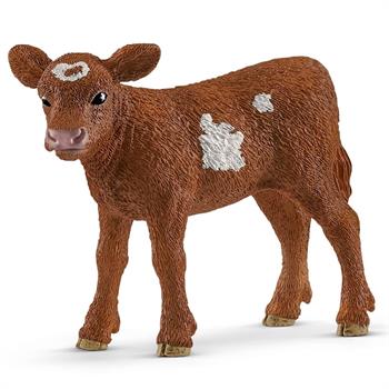 VITELLO TEXAS LONGHORN