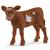 VITELLO TEXAS LONGHORN
