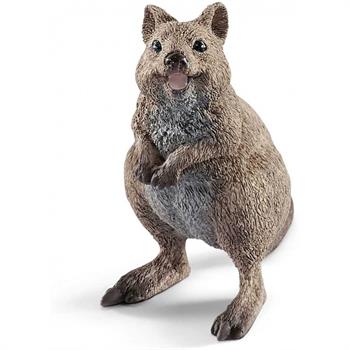 QUOKKA