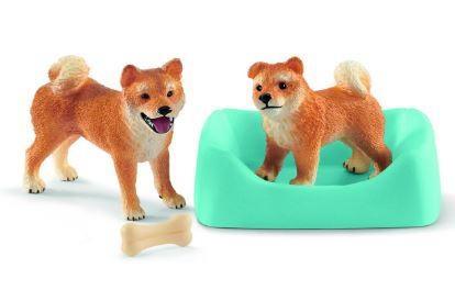 MAMMA E CUCCIOLO DI SHIBA INU