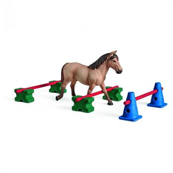SLALOM PER PONY