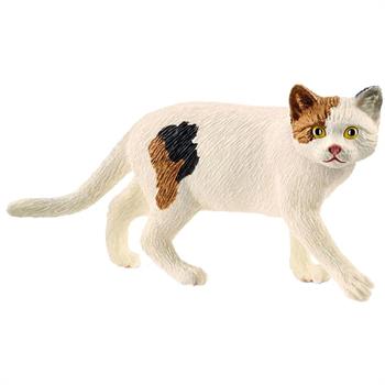 GATTO AMERICANO A PELO CORTO