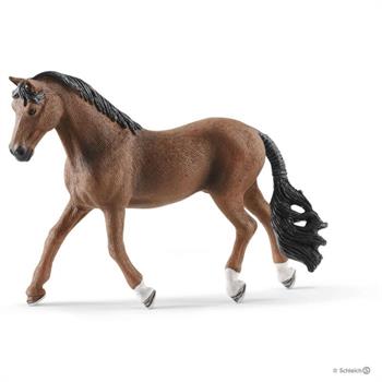 CASTRONE TRAKEHNER