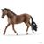 CASTRONE TRAKEHNER