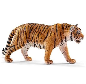 TIGRE