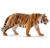 TIGRE