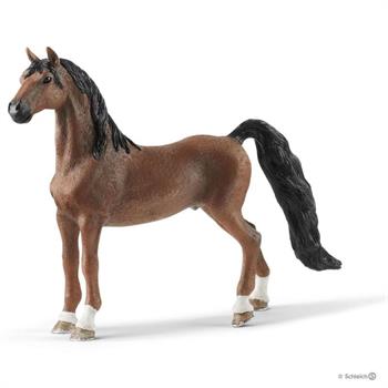 CASTRONE AMERICA SADDLEBRED