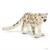 LEOPARDO DELLE NEVI