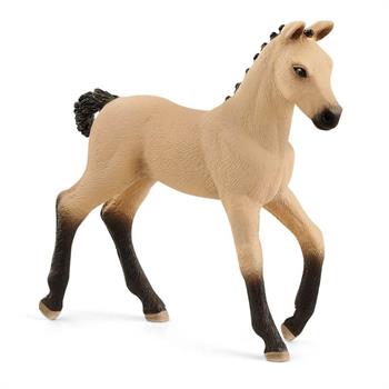 PULEDRO HANOVERIAN