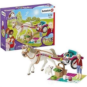 CARROZZA CON CAVALLO