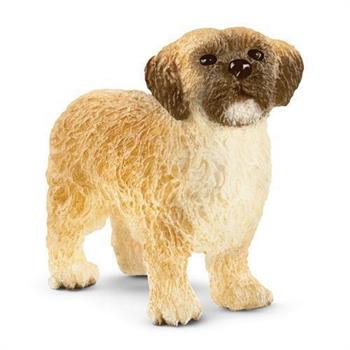 CANE MALTESE LIMITED EDITION