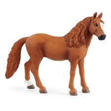GIUMENTA DI GERMAN RIDING PONY