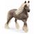 GIUMENTA SILVER DAPPLE