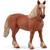 CAVALLO BELGA DA TIRO