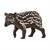 BABY TAPIRO