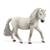 GIUMENTA DI PONY ISLANDESE