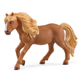 STALLONE ICELAND PONY