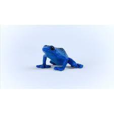 RANA AL DARDO AVVELENATO BLU