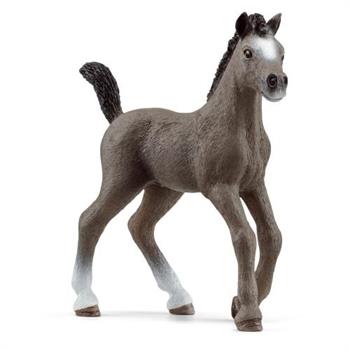 PULEDRO CHEVAL DE SELLE