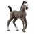 PULEDRO CHEVAL DE SELLE