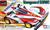 MINI 4WD VANGUARD SONIC