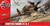 AEREO CURTISS HAWK 81-A-2 KIT 1/72