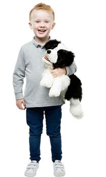 MARIONETTA BORDER COLLIE CM 45