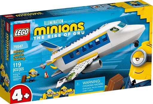 ADDESTRAMENTO DEL MINION PILOTA