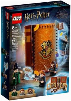 HARRY POTTER LEZIONE DI TRASFIGURAZIONE