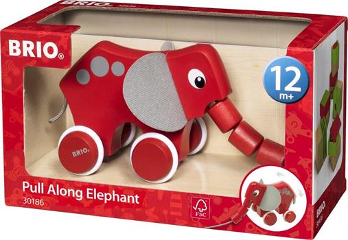 ELEFANTE TRAINABILE
