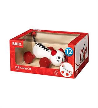 GATTO TRAINABILE