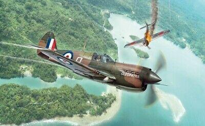 AEREO P40E/K KITTYHAWK