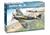 AEREO SPITFIRE MK IX KIT 1/48