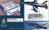 AEREO MB339 PAN FRECCE TRICOLORE 1/100